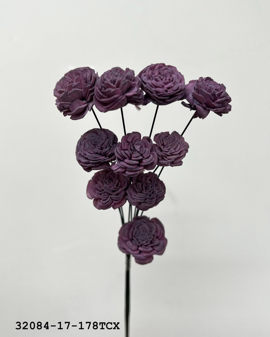 索拉玫瑰花(2cm) 32084-17178TCX