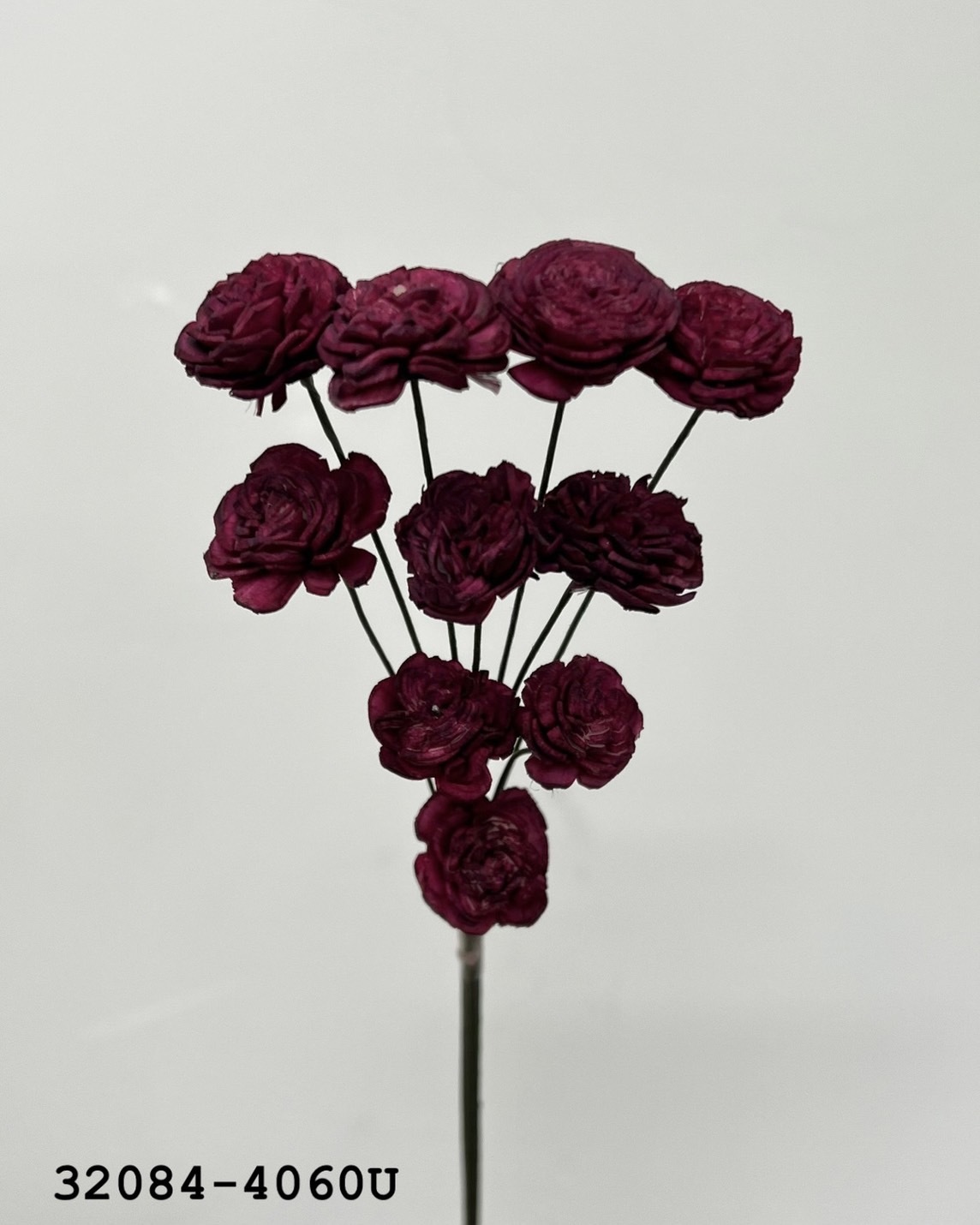 索拉玫瑰花(2cm) 32084-4060U