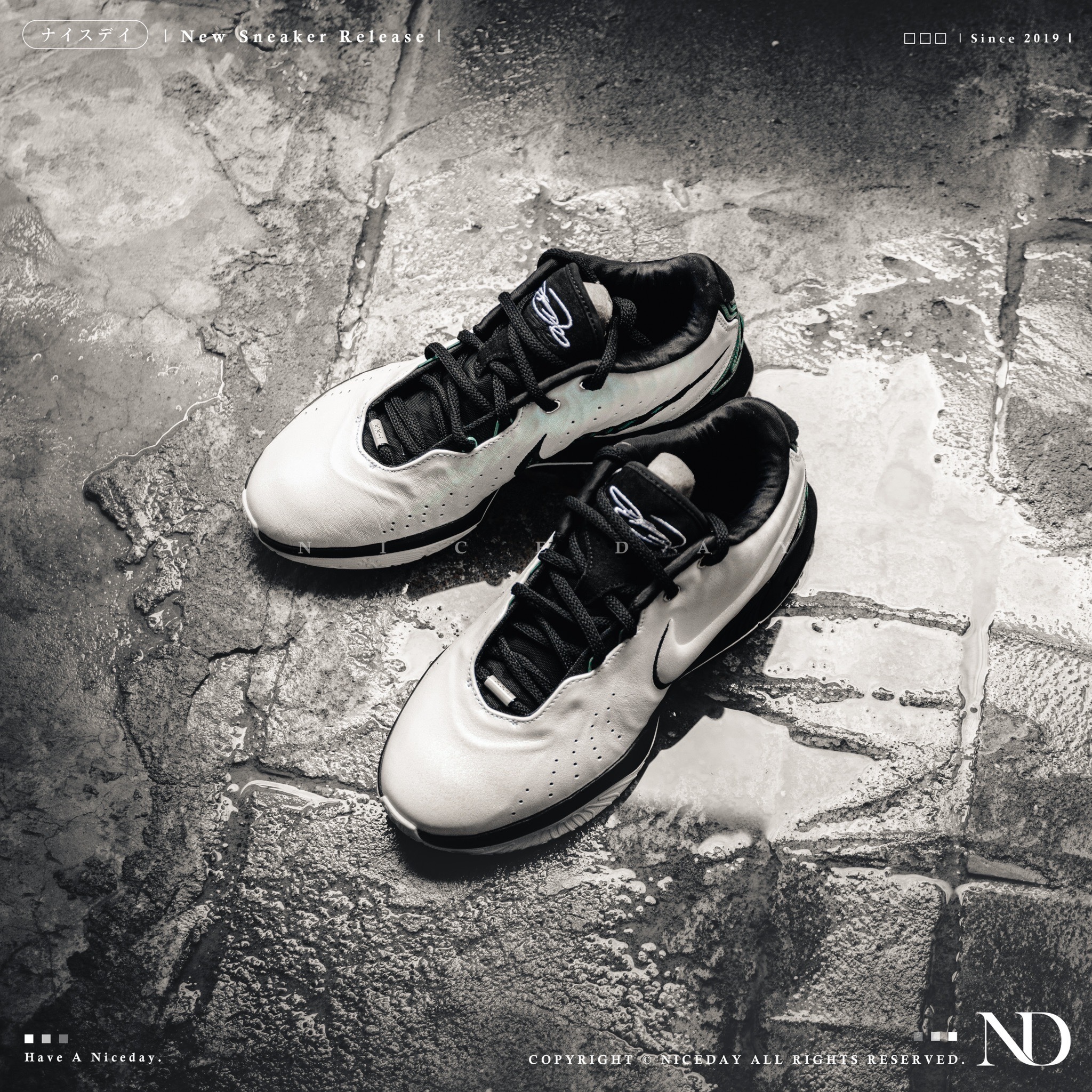 NICEDAY 現貨 Nike Lebron XXI 21 PE 熊貓 珍珠白黑 實戰 LBJ 訓練 MVP 籃球鞋 HF5842-100