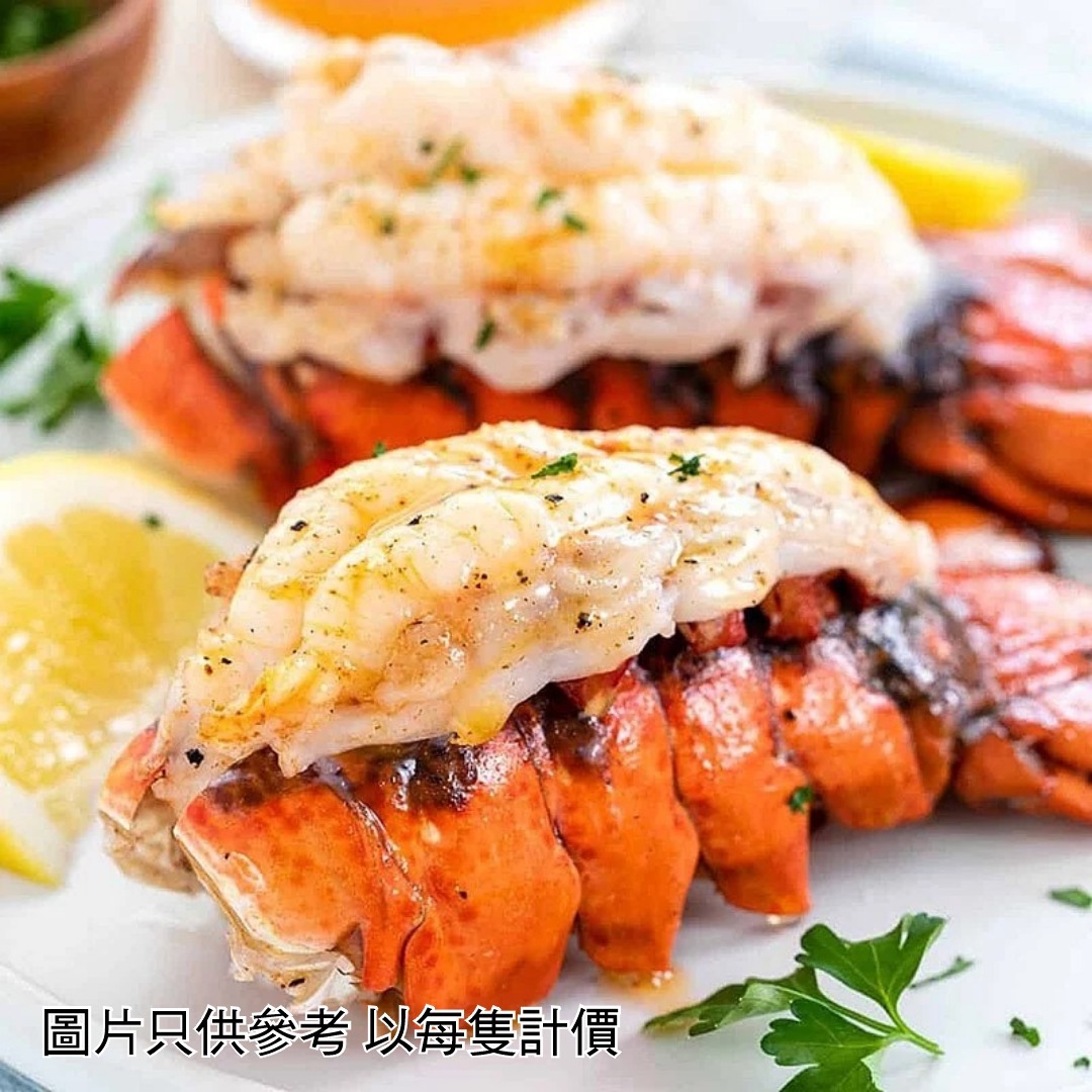 美國緬因州龍蝦尾(一隻)約140g [2352]
