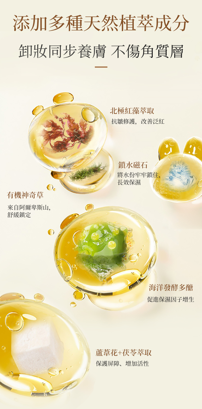 有機神奇草_鎖水磁石_海洋發酵多醣_茯苓萃取