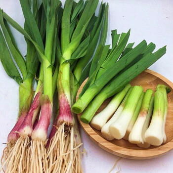本地有機青蒜