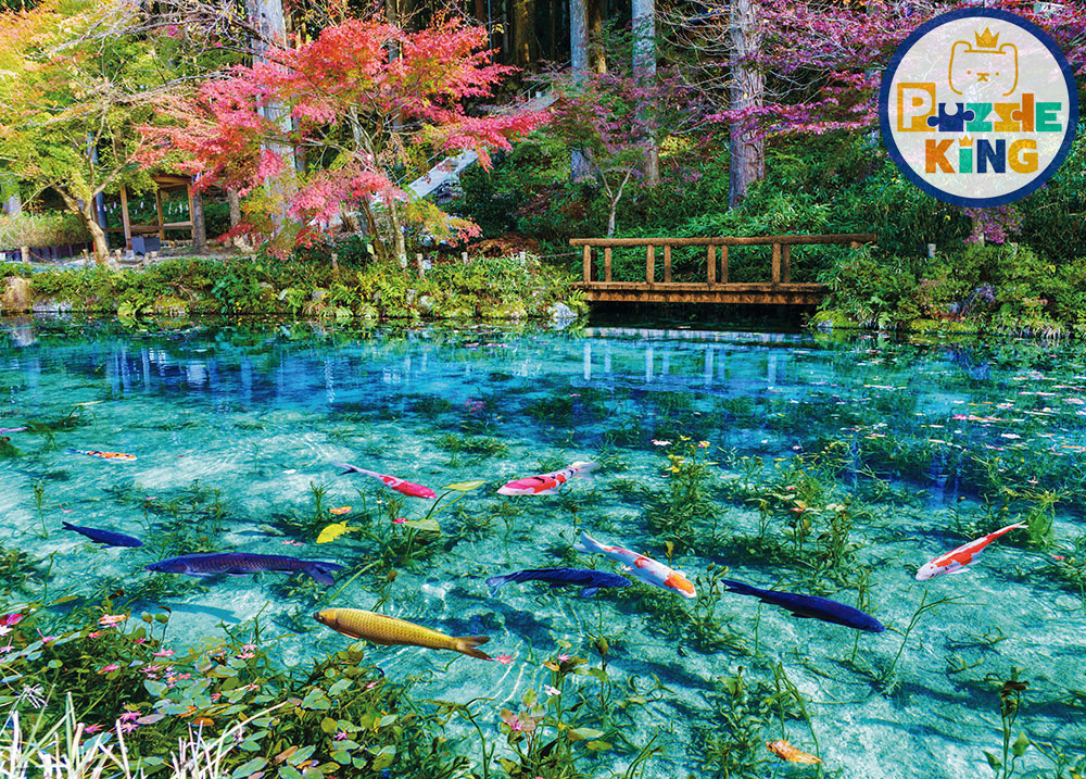 日本風景-莫奈的池塘色彩