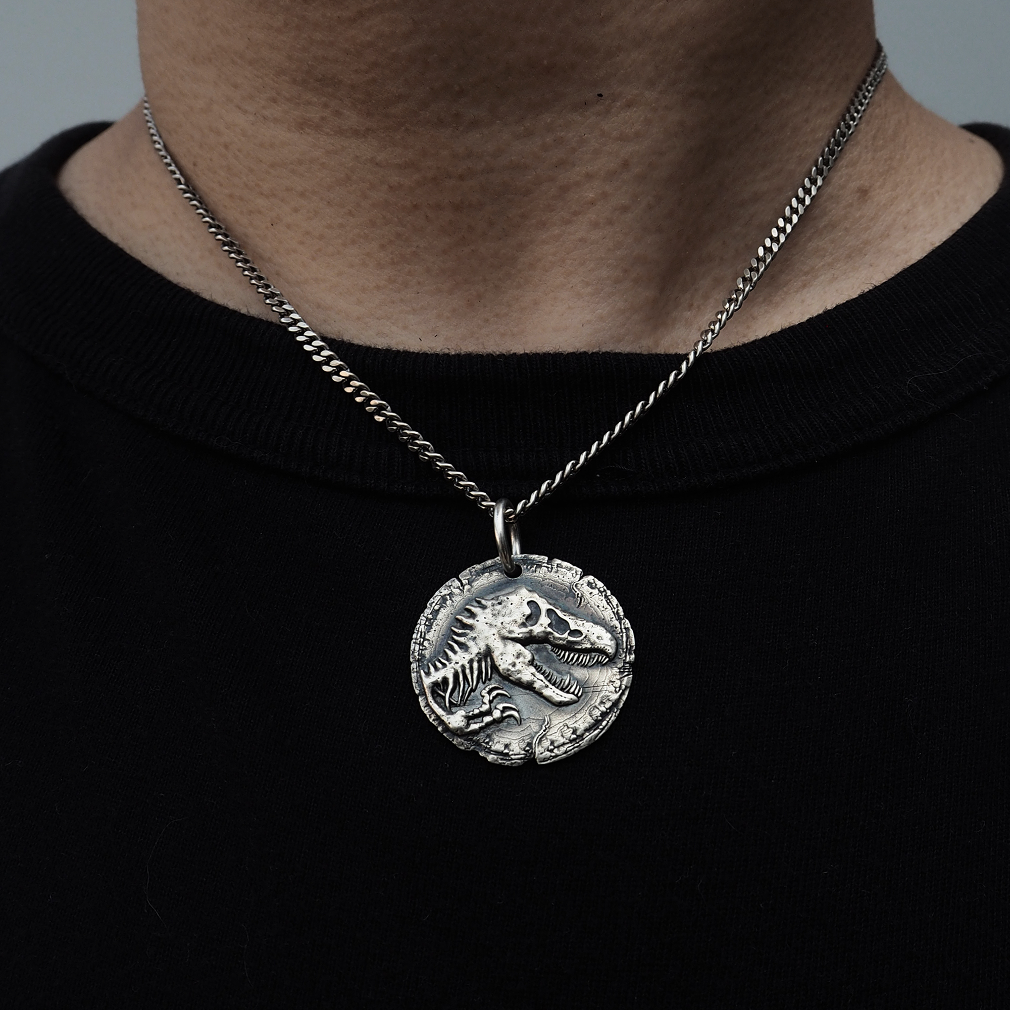 侏羅紀世界項鍊,銀飾,Jurassic World