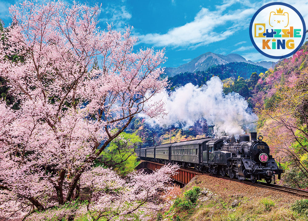 日本風景-大井川鐵道和櫻花