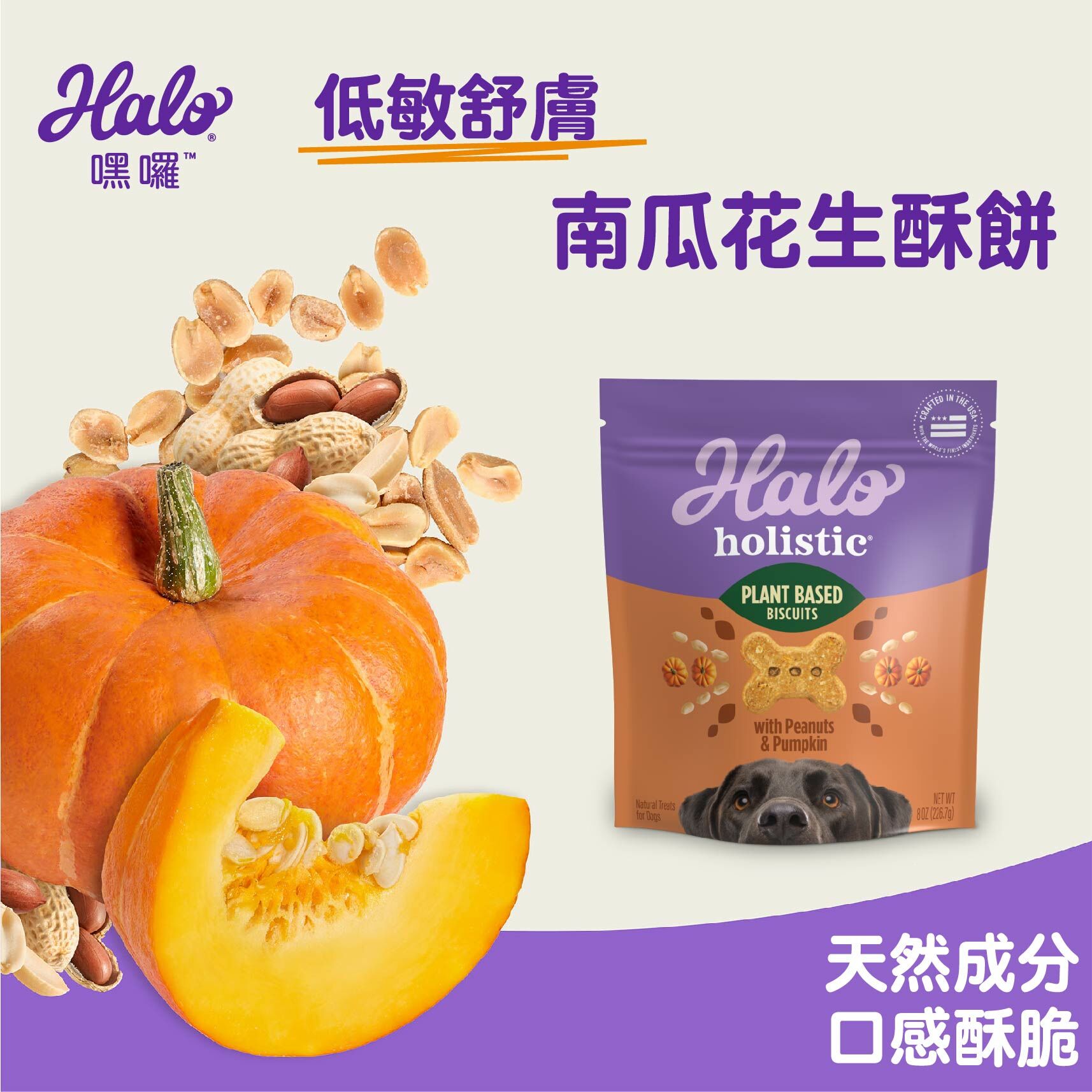 Halo 嘿囉 低敏舒膚 -南瓜花生酥餅 226g