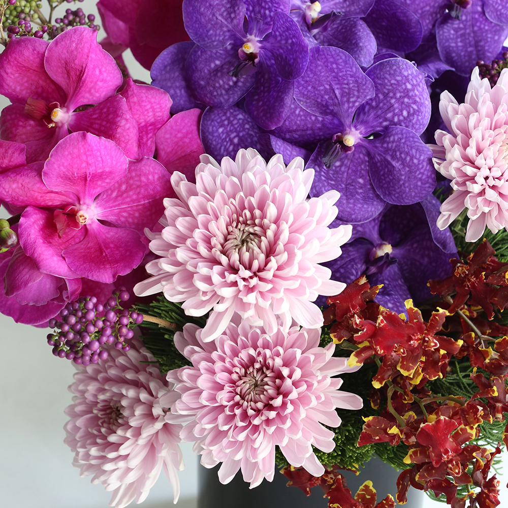 【紫嫣】春節盆花