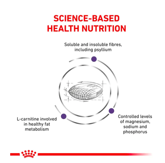 Royal Canin -處方食品絕育貓飽足感健康管理乾糧(3.5公斤)