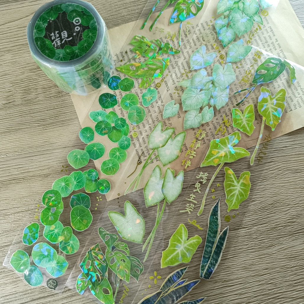 fafa製造所．觀 5cm亮面PET膠帶 <整捲/分裝>