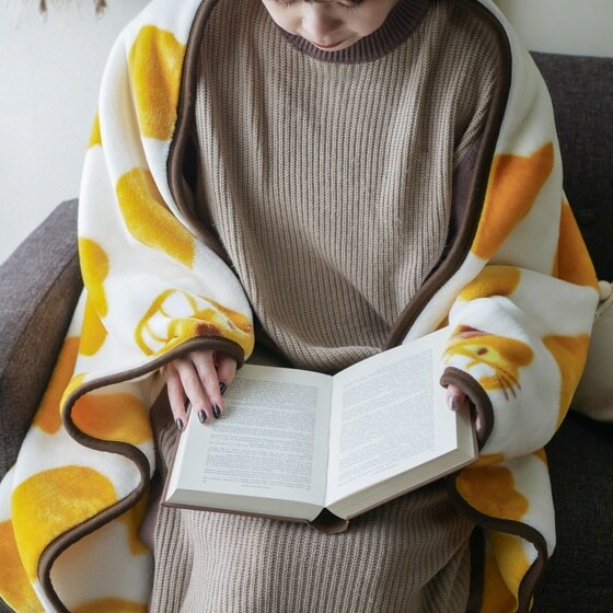 小毛毯 龍貓 貓巴士剪影