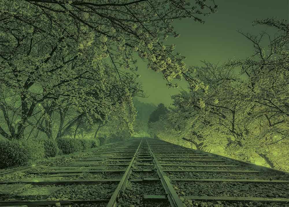 夢幻軌道（京都）(夜光)