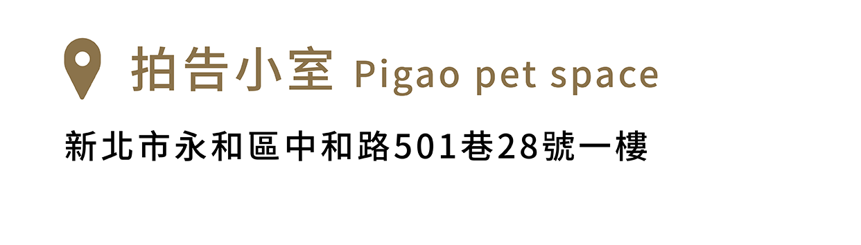 FikaGo 寵物推車門市銷售據點 - 北部