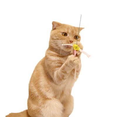 Petz Route 貓用 潔齒貓棒