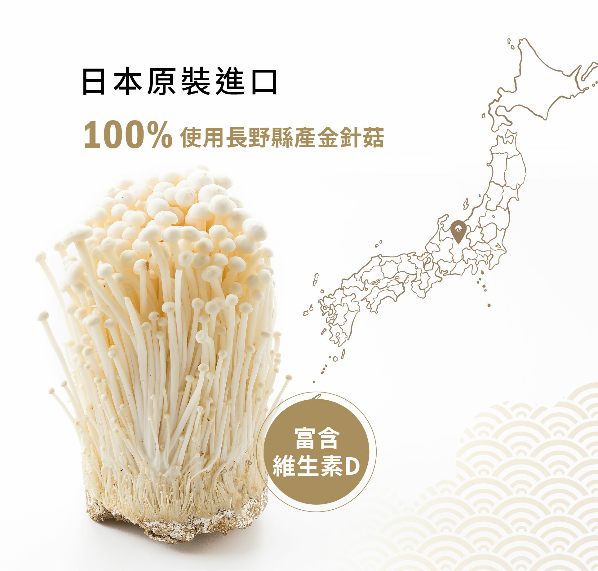 選用來自日本.長野工廠附近生產商所栽培的信州金針菇,並放入醬油中慢慢燉煮而成。