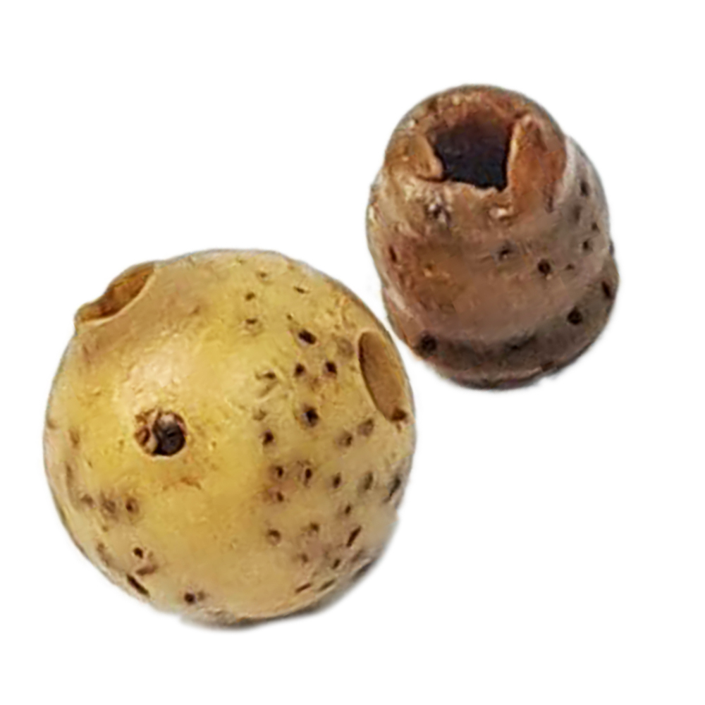 星月菩提三通頭 佛珠頭8 mm【十方】153202