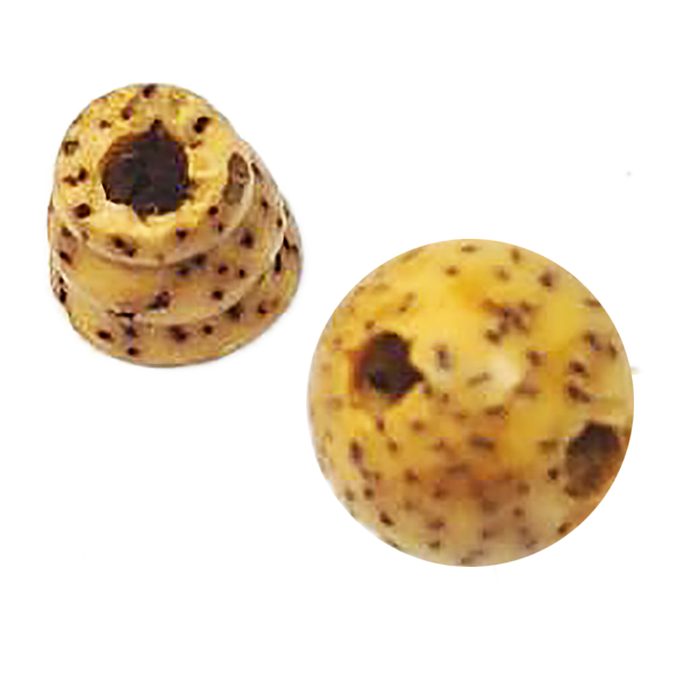 星月菩提三通頭 佛珠頭8.8 mm【十方】153211