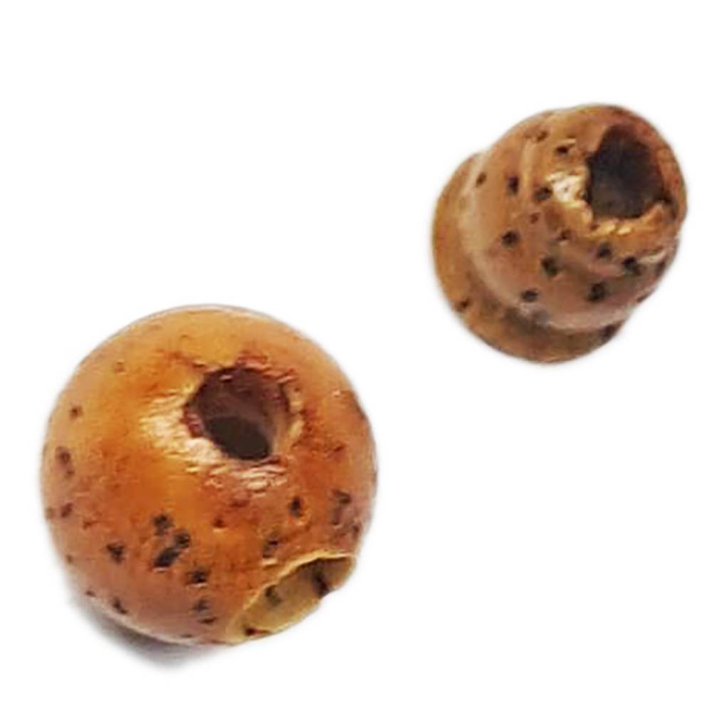 星月菩提三通頭 佛珠頭8 mm【十方】153207