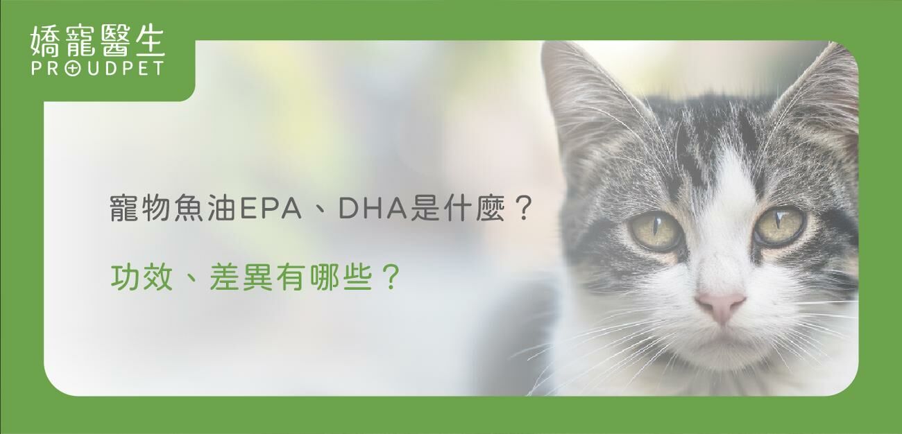 寵物魚油EPA、DHA是什麼？功效、差異有哪些？,寵物魚油,狗狗魚油,貓貓魚油