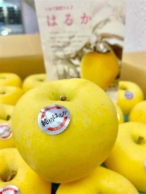 日本岩手縣 純情蘋果 40庄 丸秀
