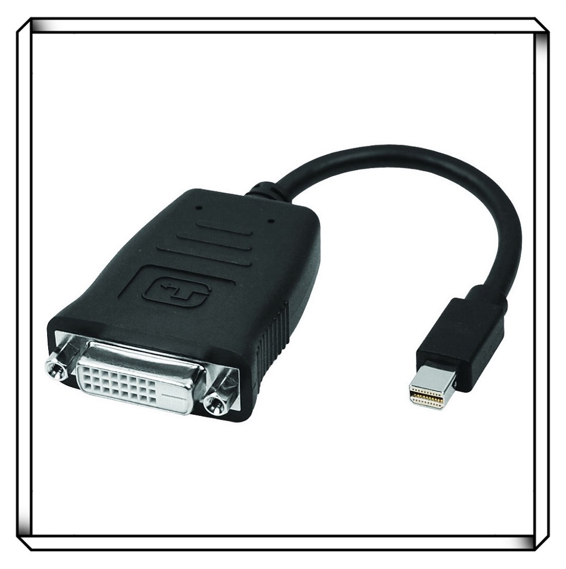 LEADTEK 麗臺 mini DP 轉 DVI