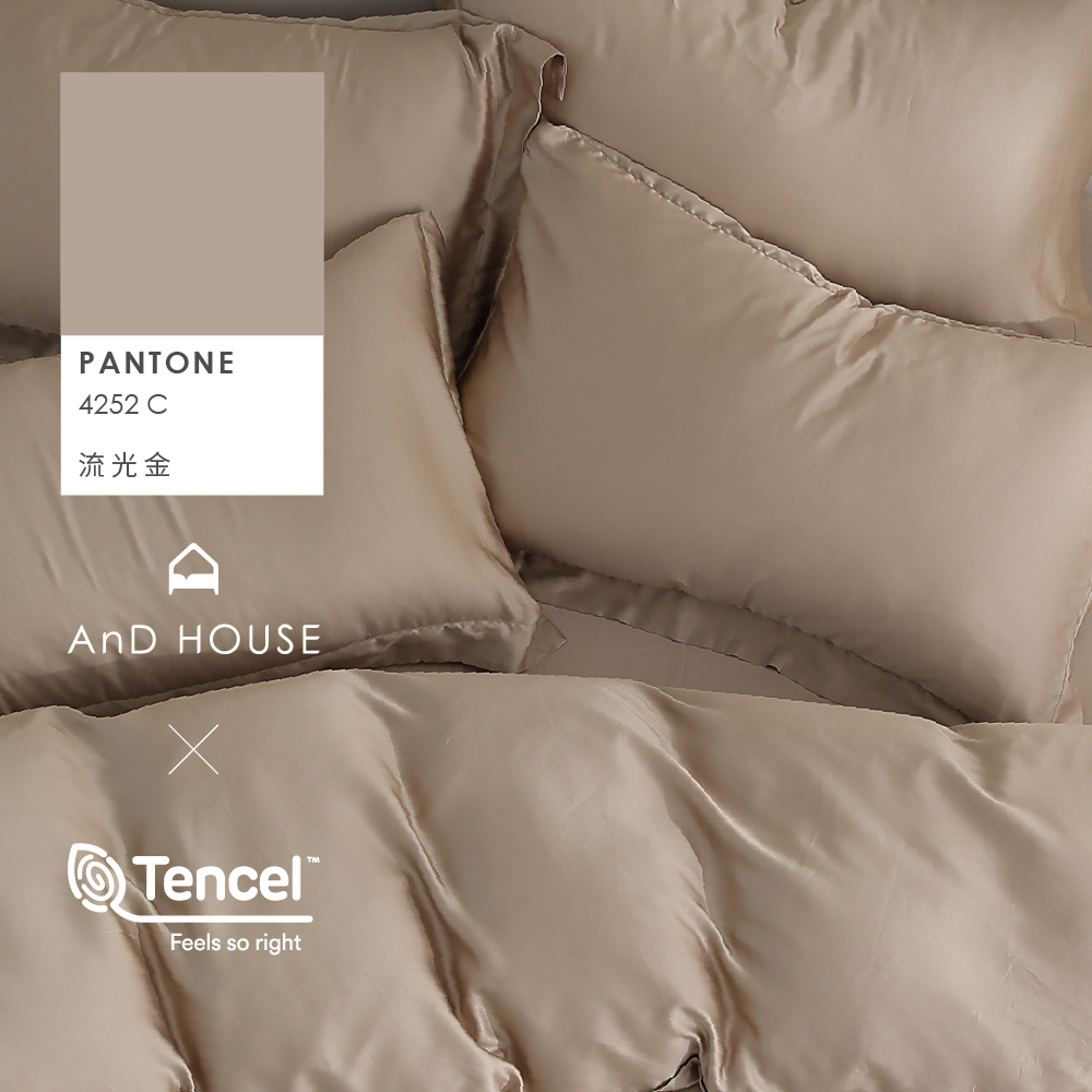 60支天絲｜100%萊賽爾｜流光金｜單品&床包被套組
