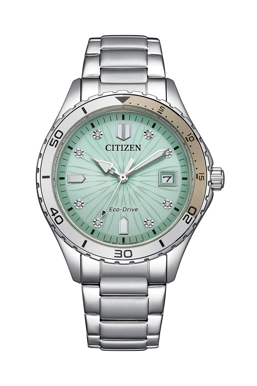 CITIZEN Products Eco-Drive FE6170-88L 星晨 光動能 不銹鋼 女裝錶 Lady WATCH