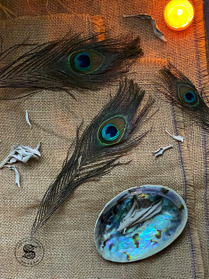 孔雀羽毛搭配香草煙燻使用 可裝飾 祭壇擺飾-光之薩滿