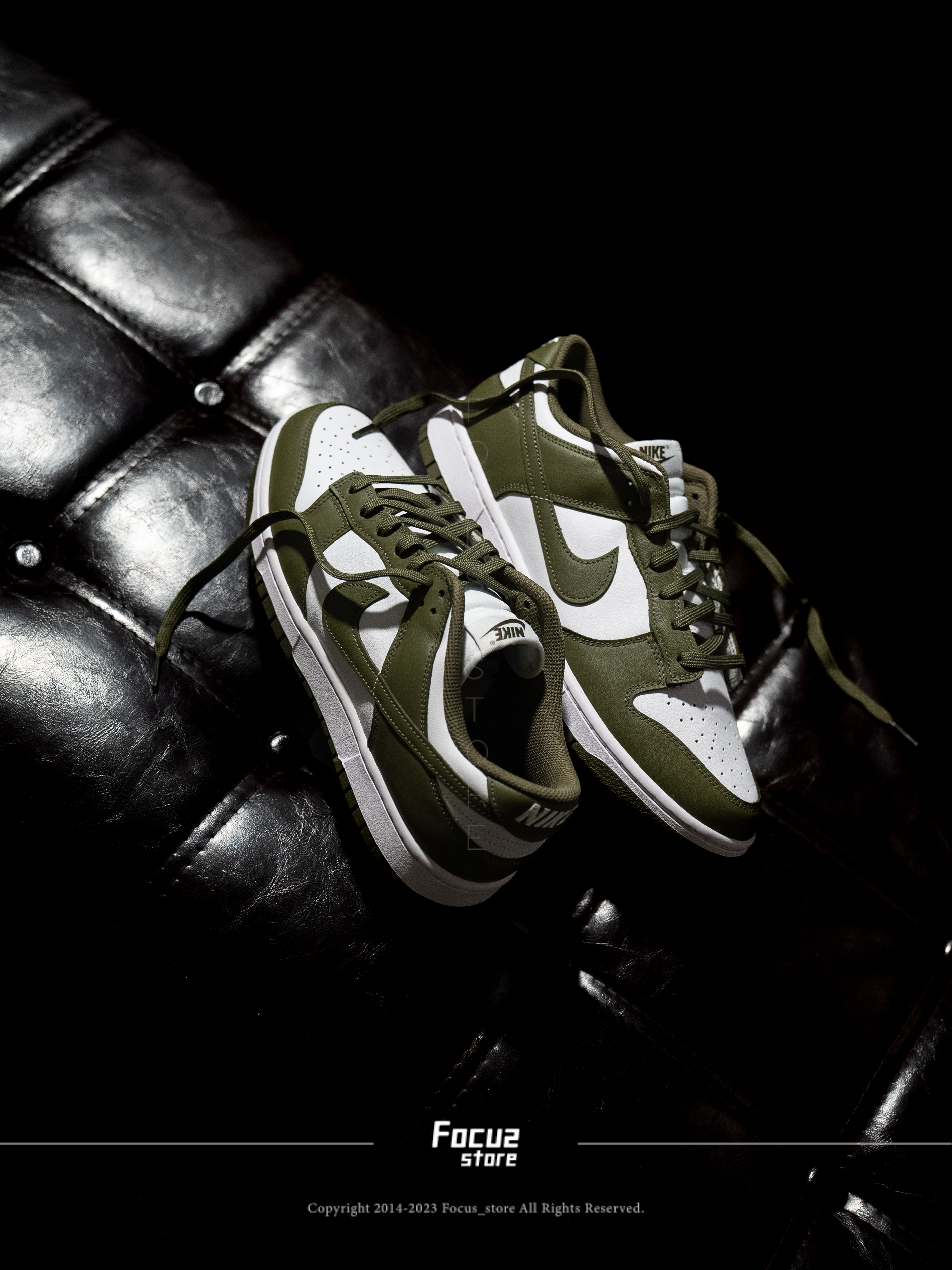 【Focus Store】預購 Nike Dunk Low Wmns "Medium Olive" 橄欖綠 DD1503-120