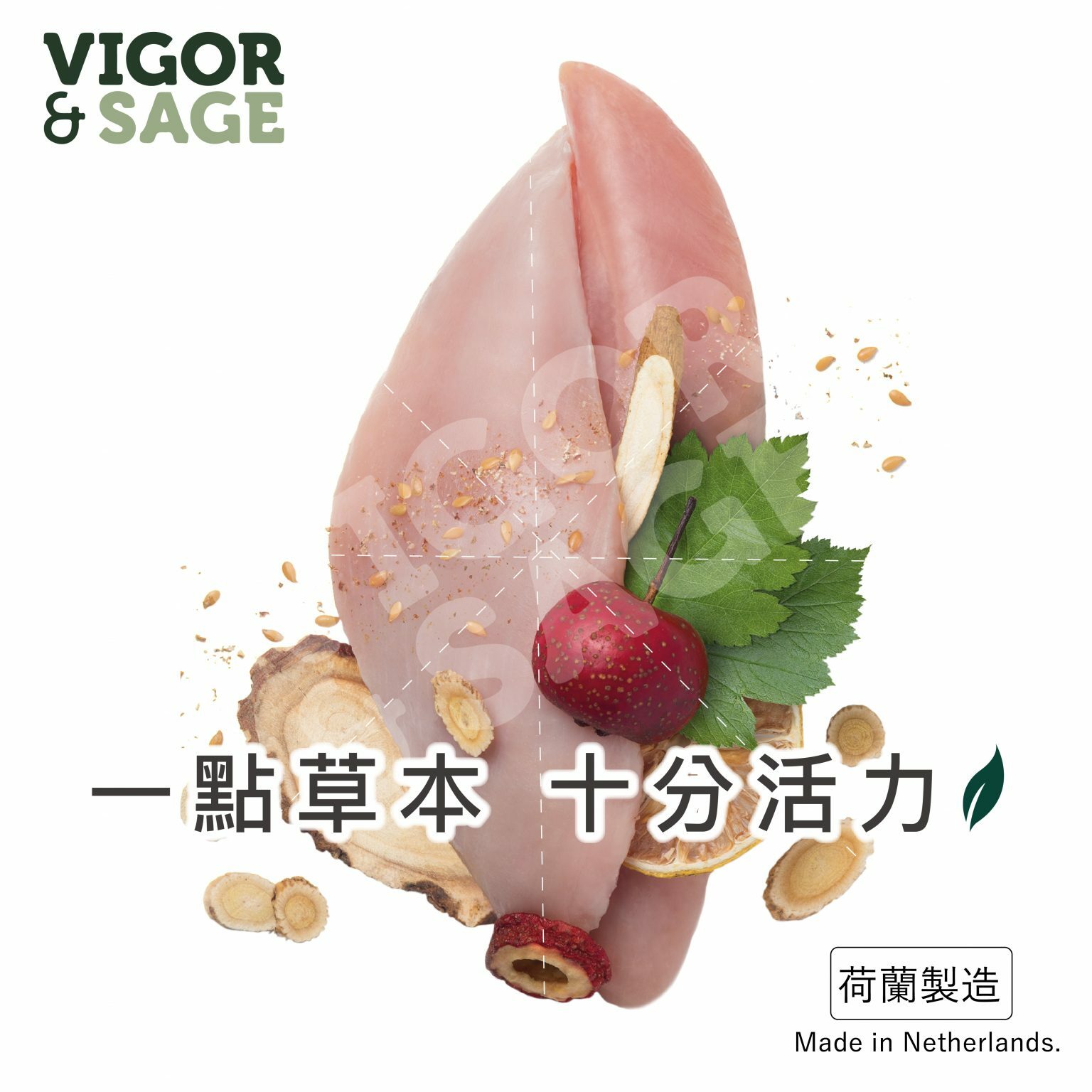 【Vigor & Sage】全犬種 黃芪抗衰老狗乾糧 12kg