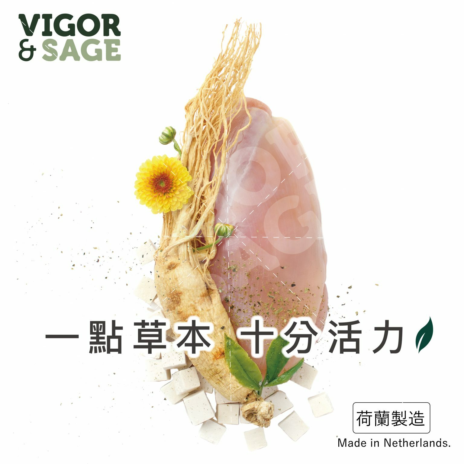 【Vigor & Sage】人參健體 全犬種成犬糧 2kg