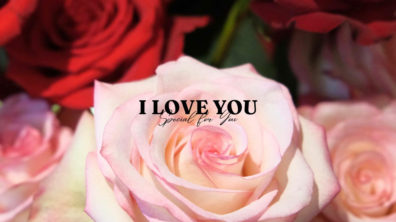 情人節花束推薦｜貳樓有花｜花禮訂購01