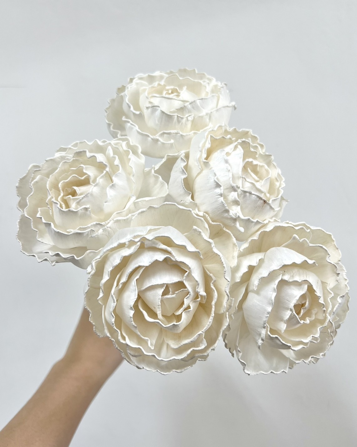泰國索拉花-浪漫牡丹8cm <5支一把> (高品質)