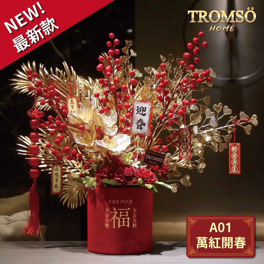 TROMSO金喜發財果新年花禮花籃-A01萬紅開春