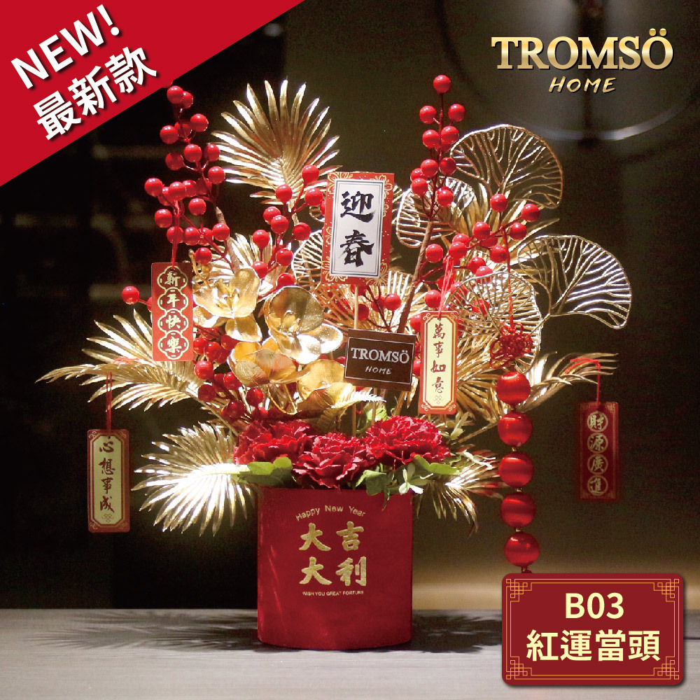 TROMSO金喜發財果新年花禮花籃-B03紅運當頭