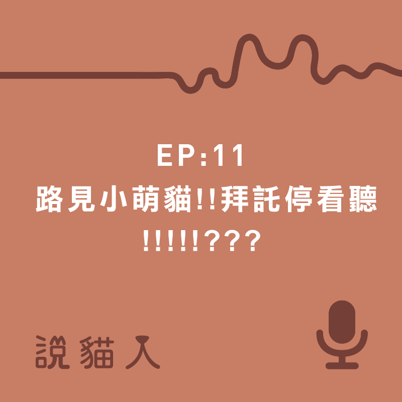 說貓人,貓咪,寵物, 拍拍, 寵物用品設計, 單熙汝, 動物行為,動物心理,奶貓