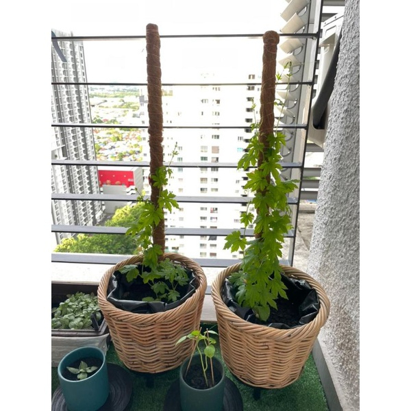Large Rattan Planter Storage Basket