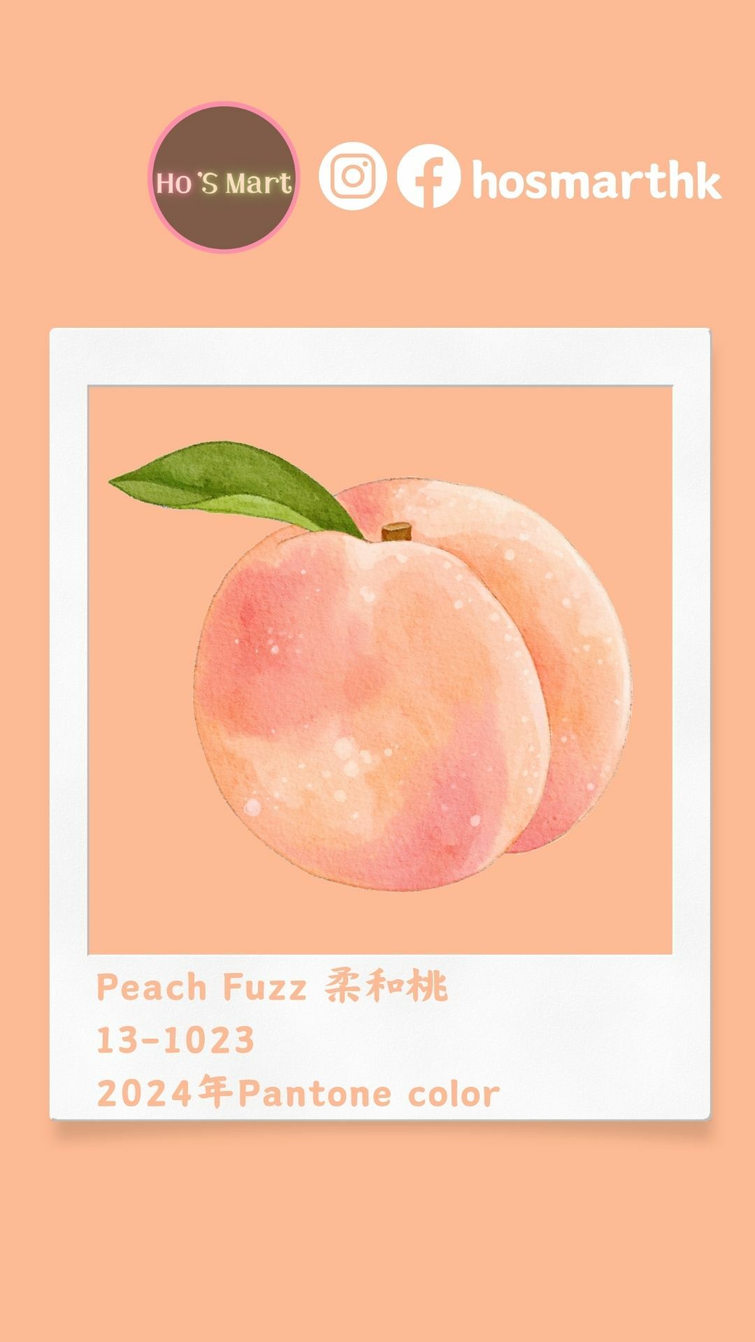 year of pantone color.2024.peach fuzz