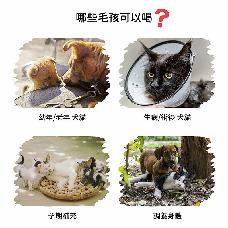 JustBite 咬一口【御膳系列】寵物養生滴精 60g (貓狗適用)