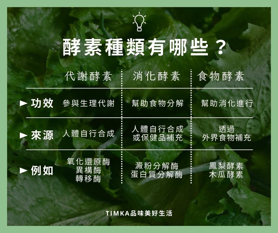 酵素有三種，分為代謝酵素,消化酵素,食物酵素