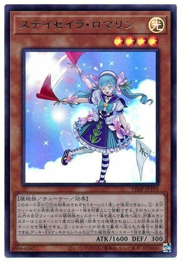 VJMP-JP193 ステイセイラロマリン