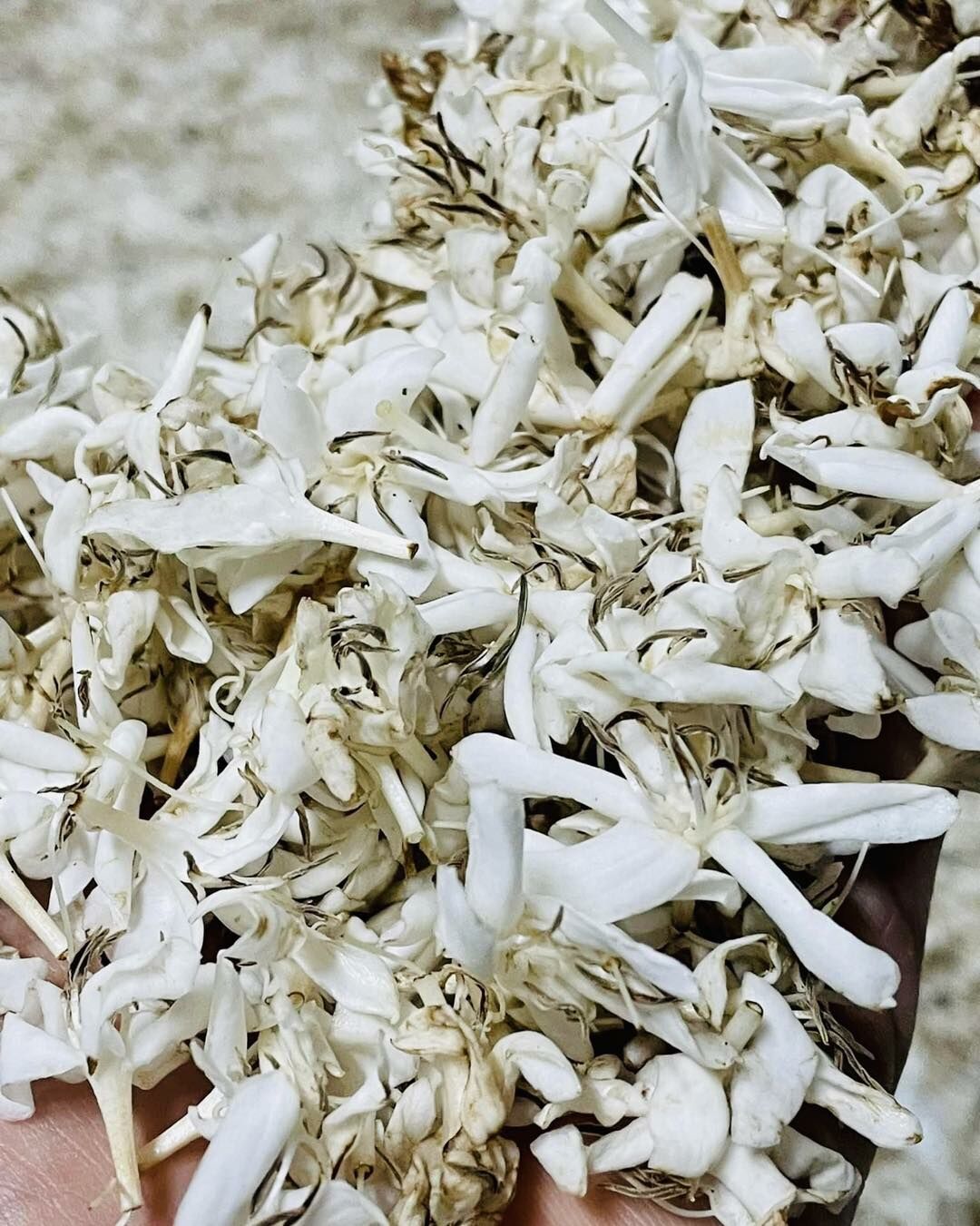 Zhuowu Coffee Farm Geisha Coffee Flower