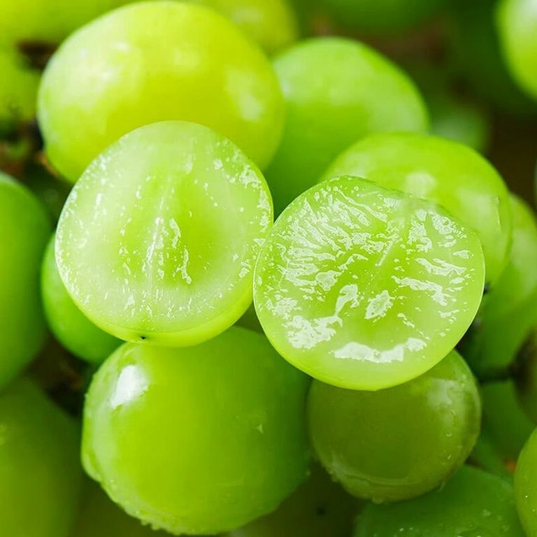 山姆 韓國香印青提 600g