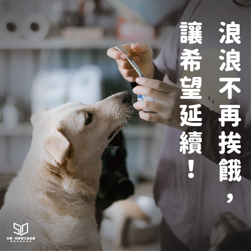 【社團法人臺中市月園流浪動物照護協會】浪愛不再流浪，讓流浪動物接受治療與充足的食物！
