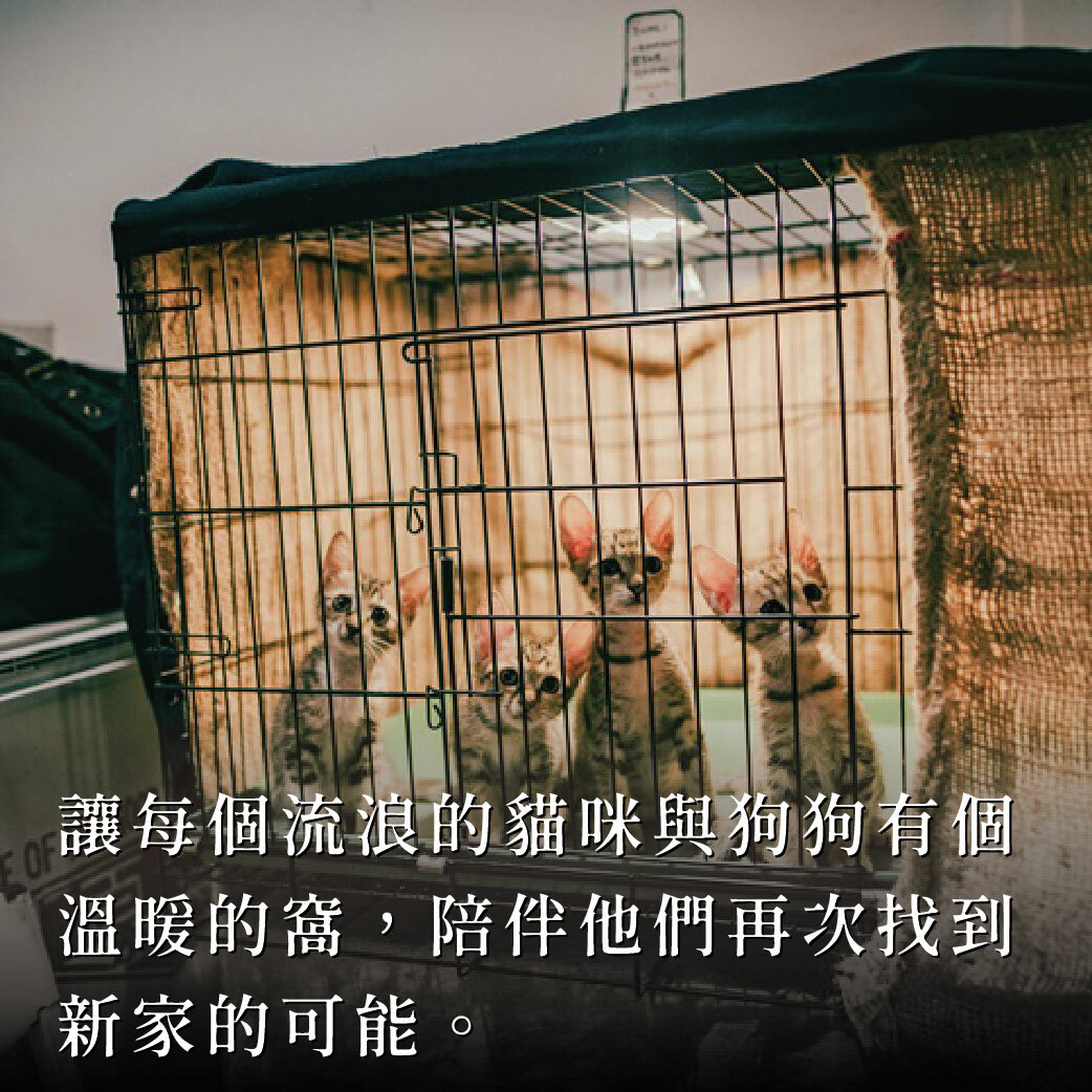 【社團法人臺灣自心愛護動物協會】提供流浪毛孩良好照護，陪伴牠們找到溫暖的家！