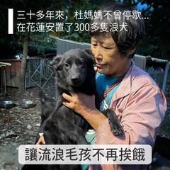 【花蓮縣流浪動物救助協會】花蓮流浪毛孩需要您伸出援手、穩定幫助讓牠們不再挨餓無助！