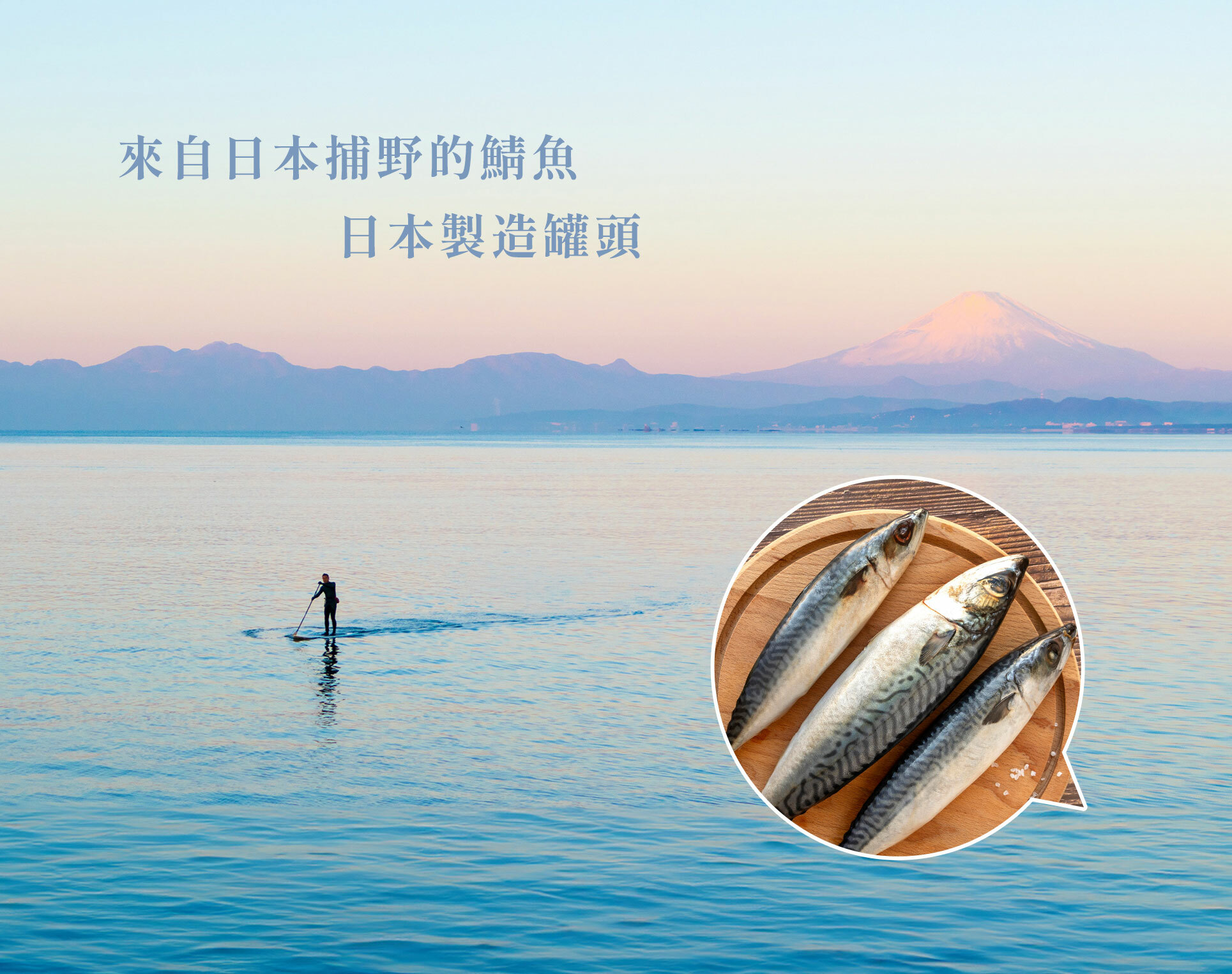 用日本捕獲鯖魚製成，並製成可一口食用大小的鯖魚罐頭。這個簡單的水煮罐頭使用了以駿河灣的深海水，以及平窯鹽所製成的「あらしお(Arashio)」。