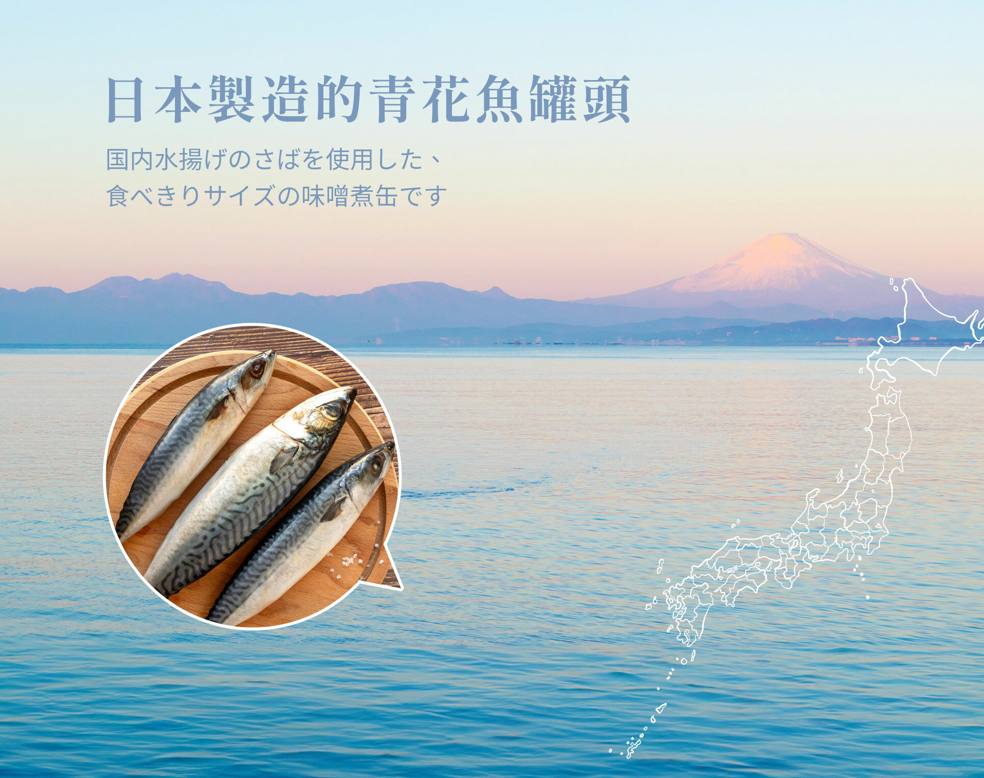 這是用日本捕獲的青花魚製成的味噌罐頭。採用山高味噌製成,非常適合日常用餐。嚴選與燉菜最相配的味噌。