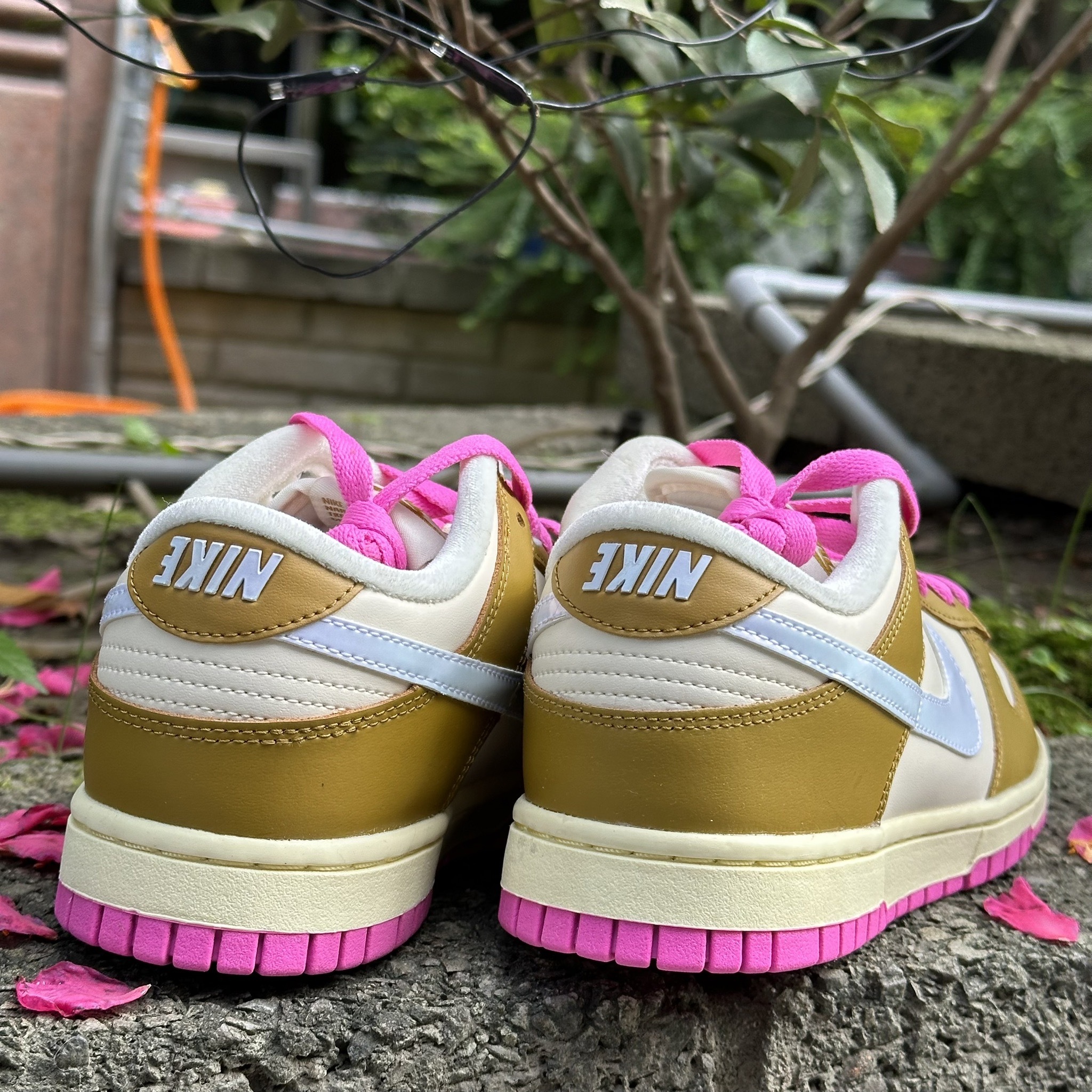 ネット限定 Nike DO Dunk WMNS NIKE Dunk Low 