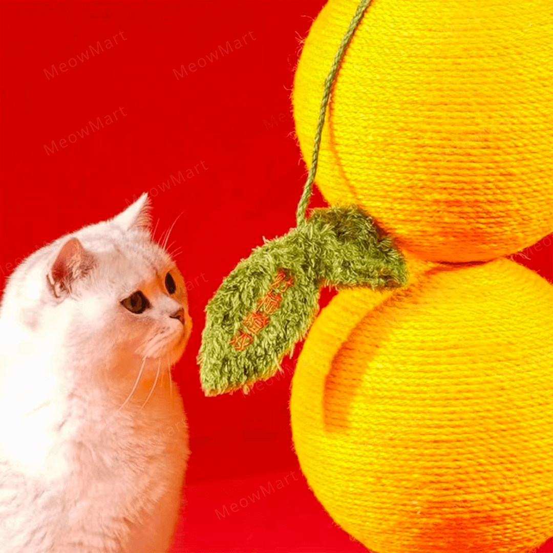 zeze 柿子貓抓柱