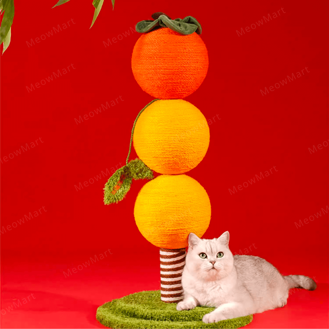 zeze 柿子貓抓柱